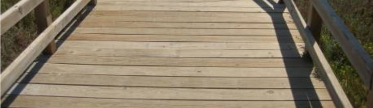 La madera de IPÉ es una madera de importación que proviene de Brasil principalmente. Es muy densa y por lo tanto muy difícil de trabajar y de cortar. todo esto la hacen considerablemente más caras, por lo que el crear una terraza o deck con ellas aumenta notablemente su costo. Aunque resistentes a la descomposición y a los insectos, tiende a doblarse o pandearse fácilmente con la humedad, por lo que es importante tomarlo en cuenta. Es necesario mantenerla siempre limpia ya que si se dejan hojas o polen en la superficie, pueden causar manchas difíciles de quitar. Se recomienda barrerla y lavarla constantemente para evitarlo y lijado y entintado cada dos años aproximadamente. MADERA TRATADA